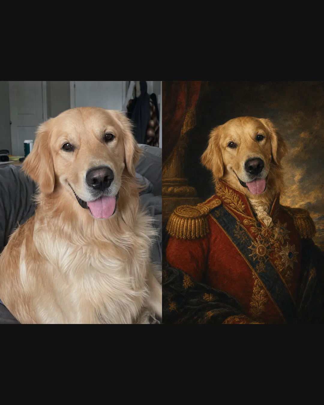 Before and after: a plain phone photo of a golden retriever on the left, transformed into a museum grade Royal style painted portrait on the right