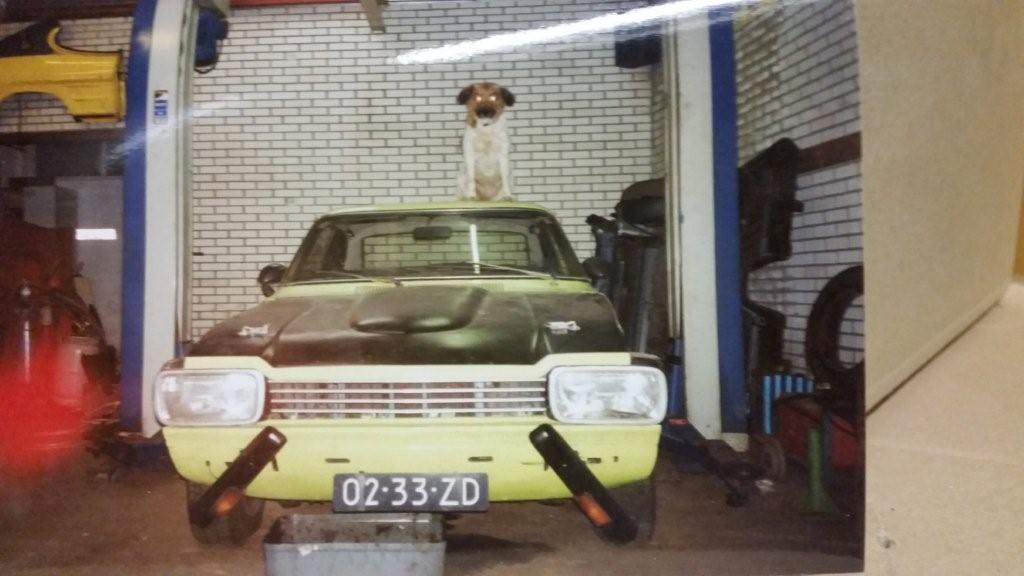 Capri met hond op motorkap