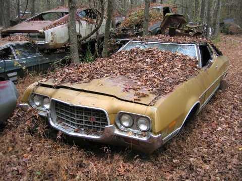 Ford Capri herfst