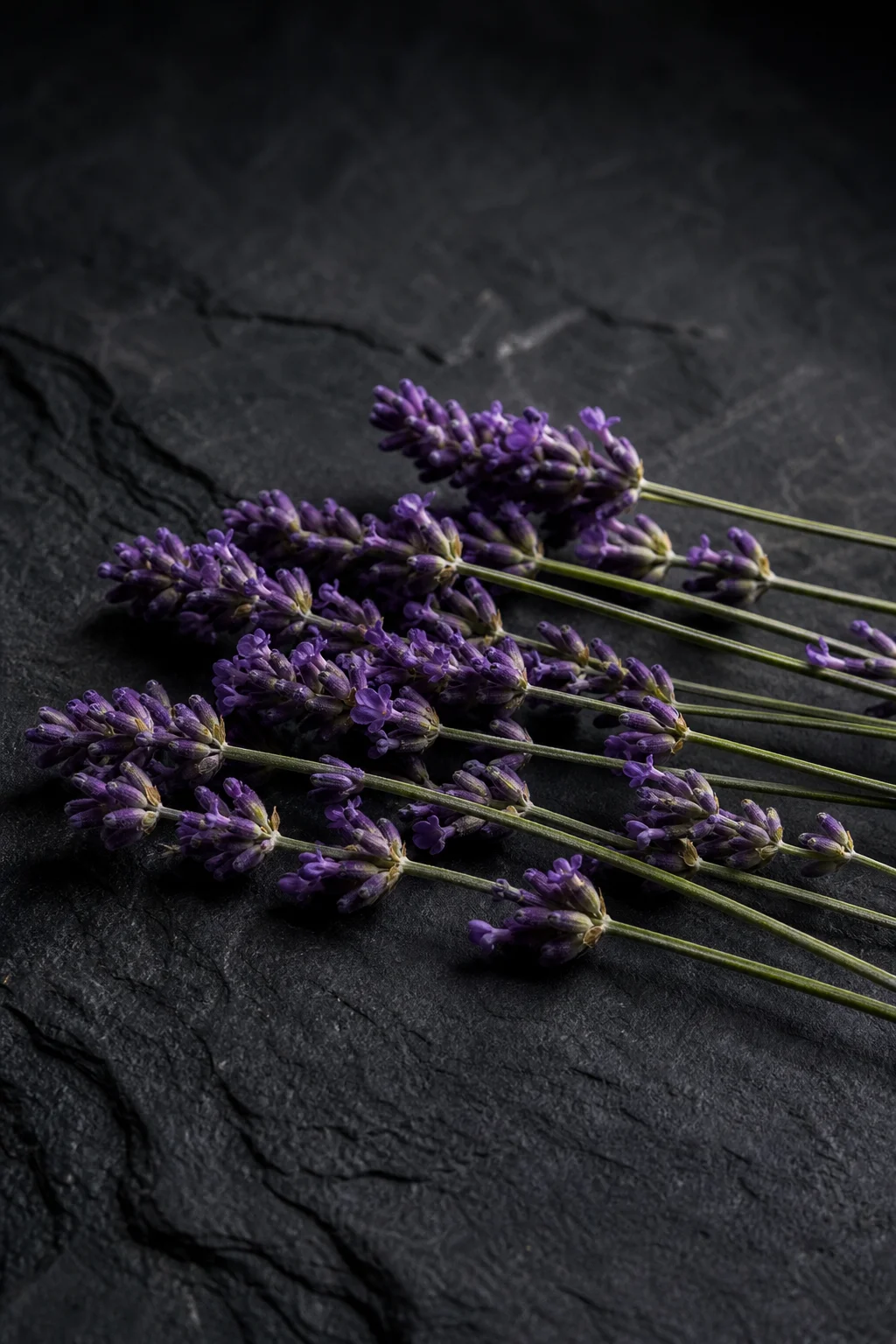 Lavender stems and purple flower heads on dark stone — a visual interpretation of the aromatic scent character