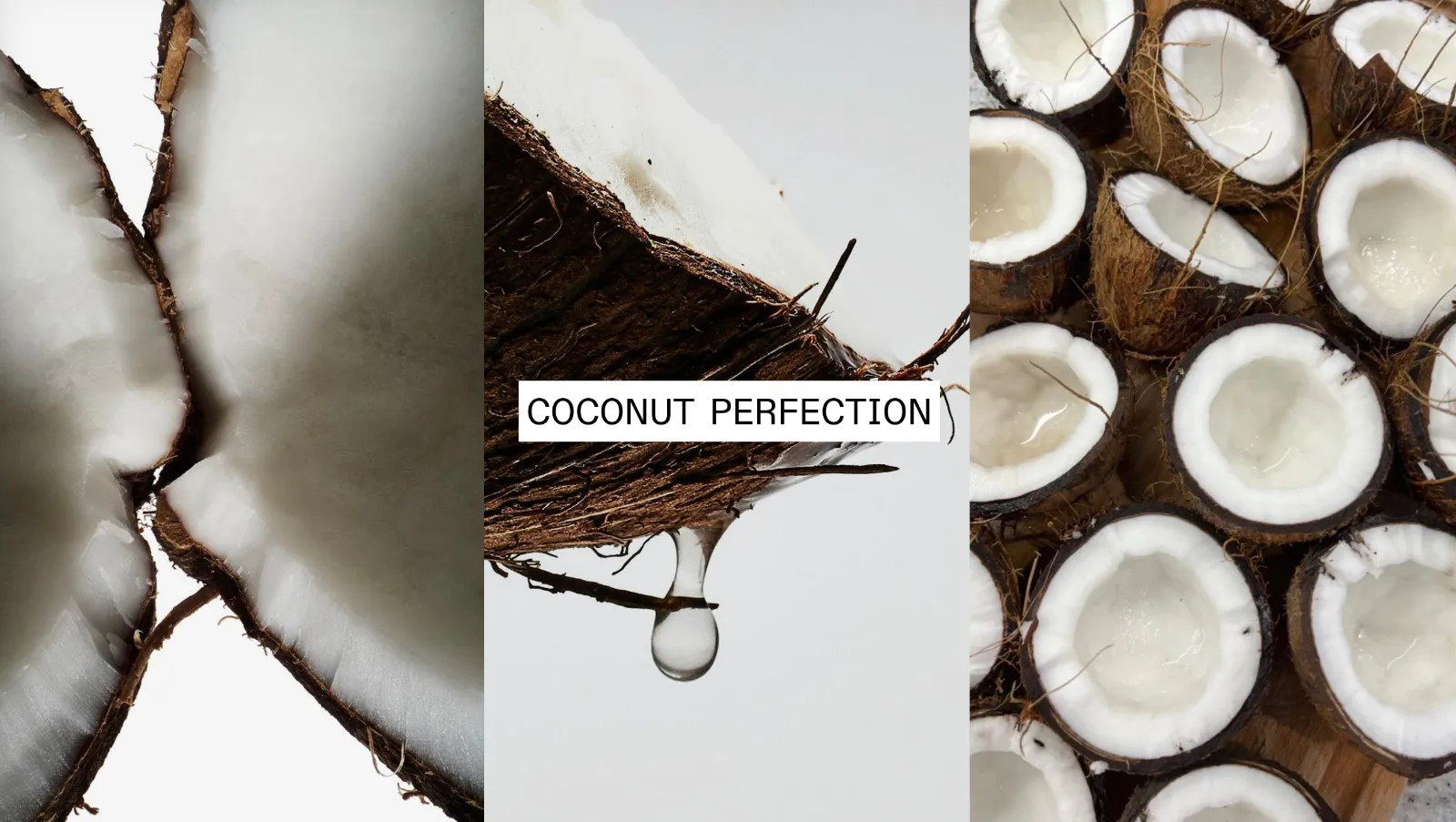 Young coconuts, opened