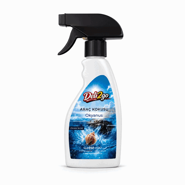 Araç Kokusu Okyanus 250 ml