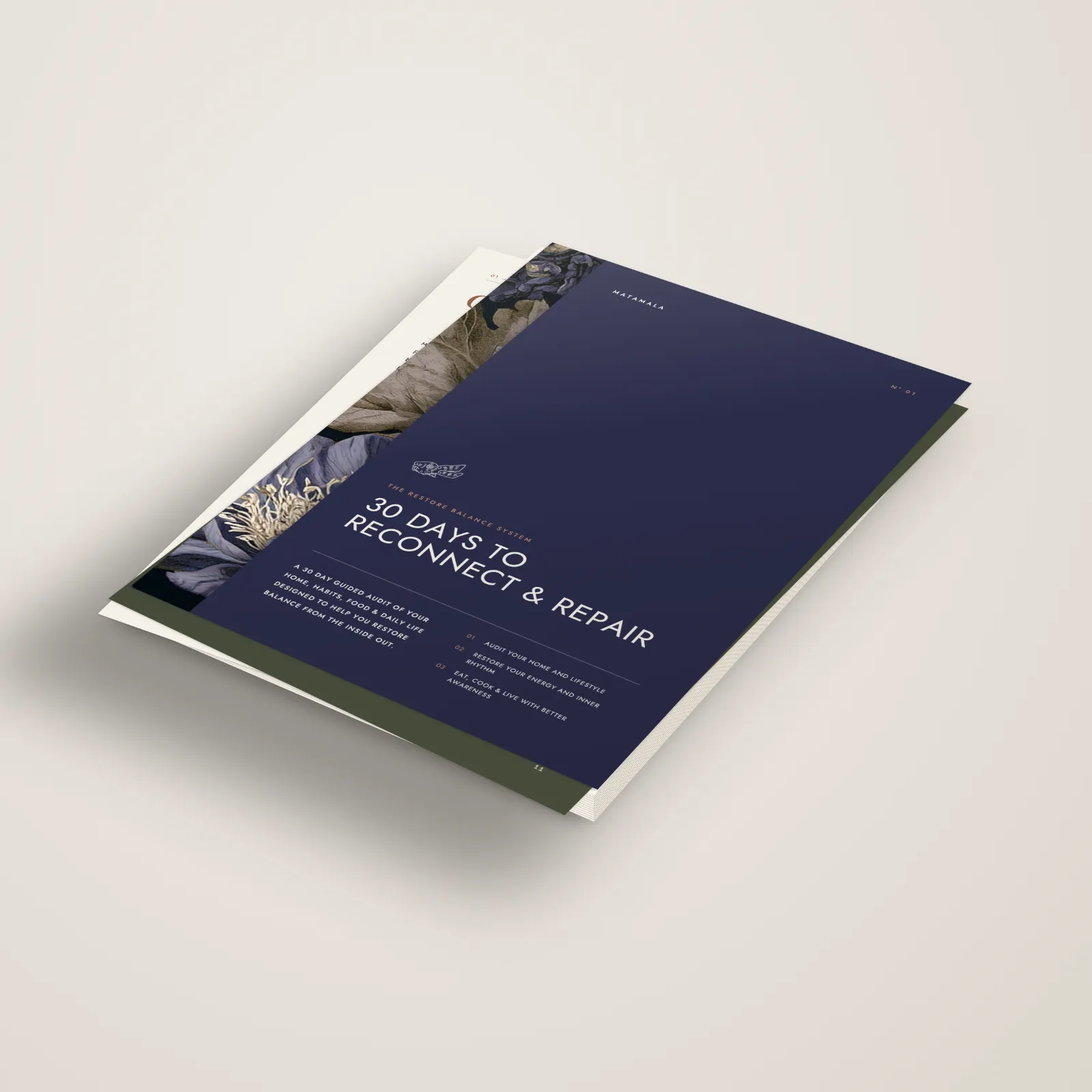 Three-dimensional view of the Matamala 30 Days to Reconnect & Repair guide with its indigo botanical cover