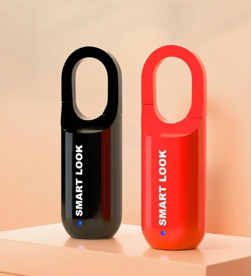 Fingerprint lock in black and red