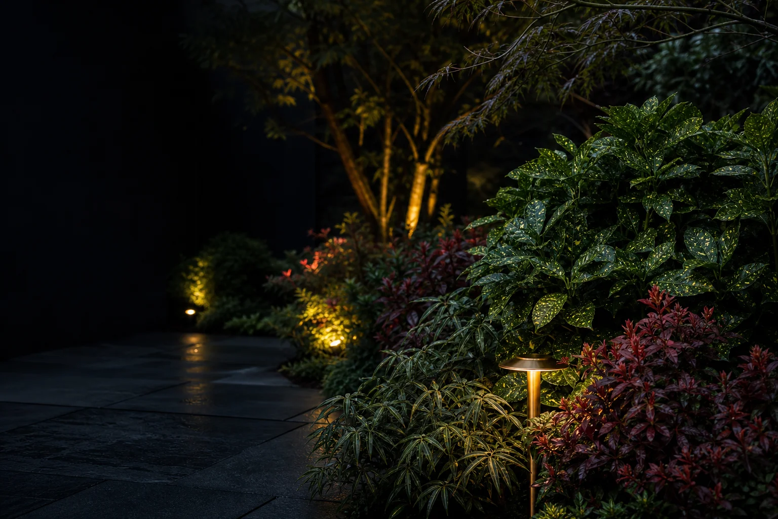 An evergreen garden at dusk