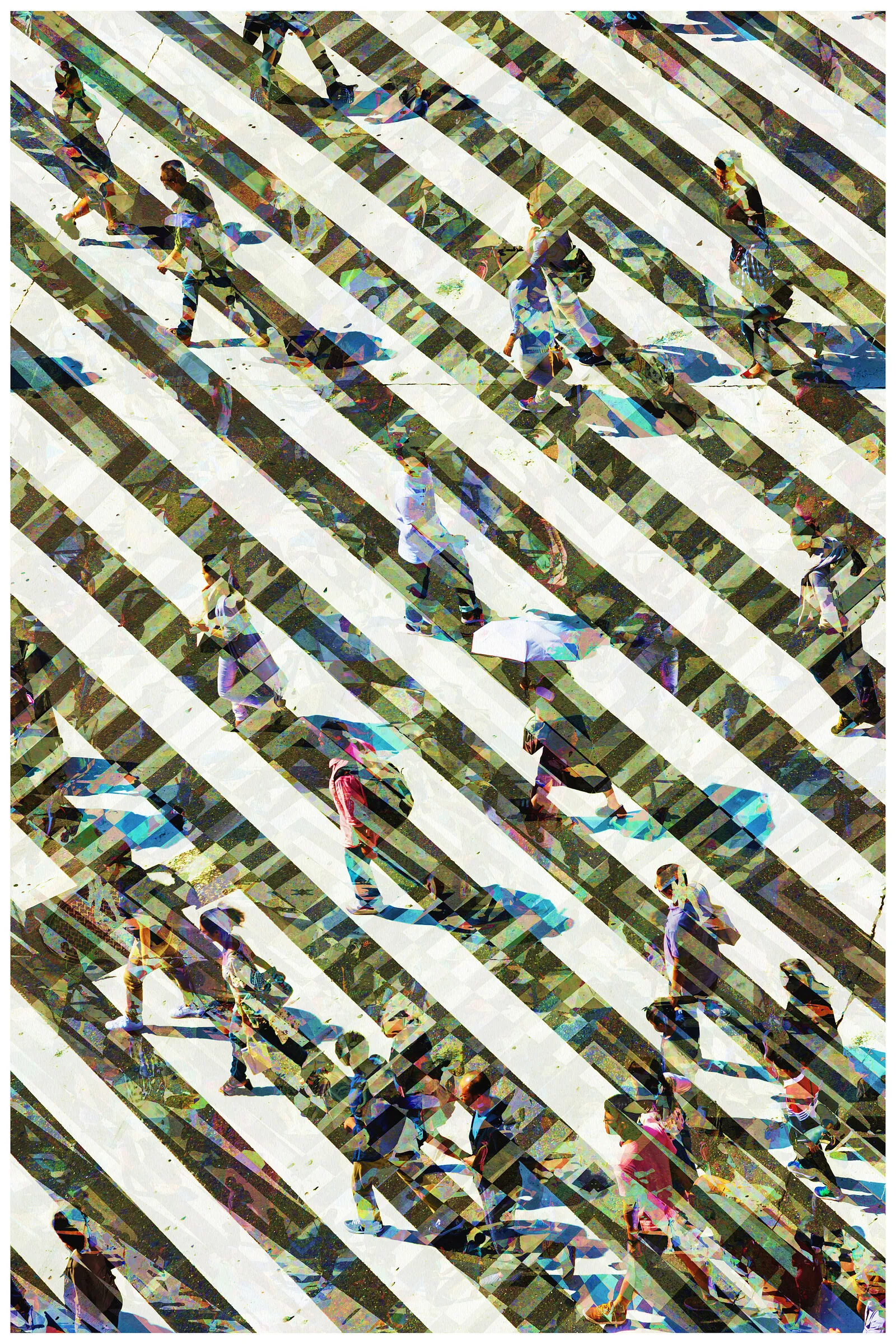 Jaywalkers print