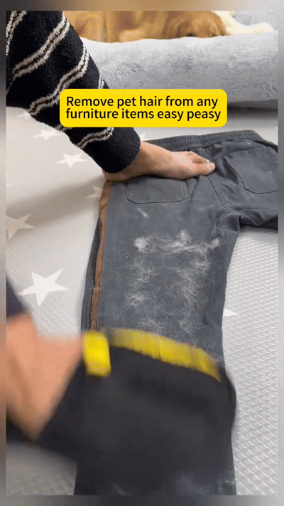 Pet grooming glove lifting loose fur in action