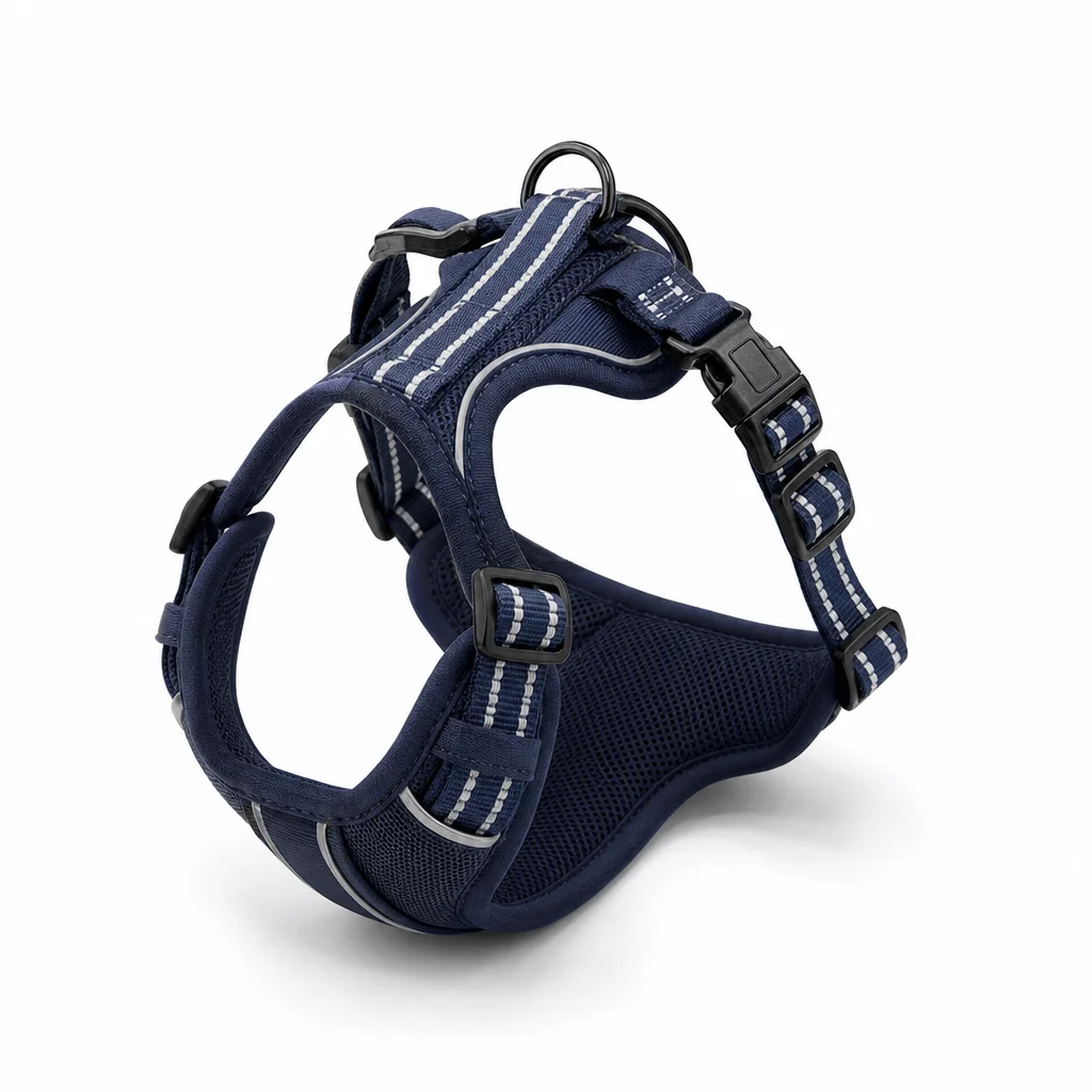 How to Choose the Right No-Pull Harness for Everyday Walks