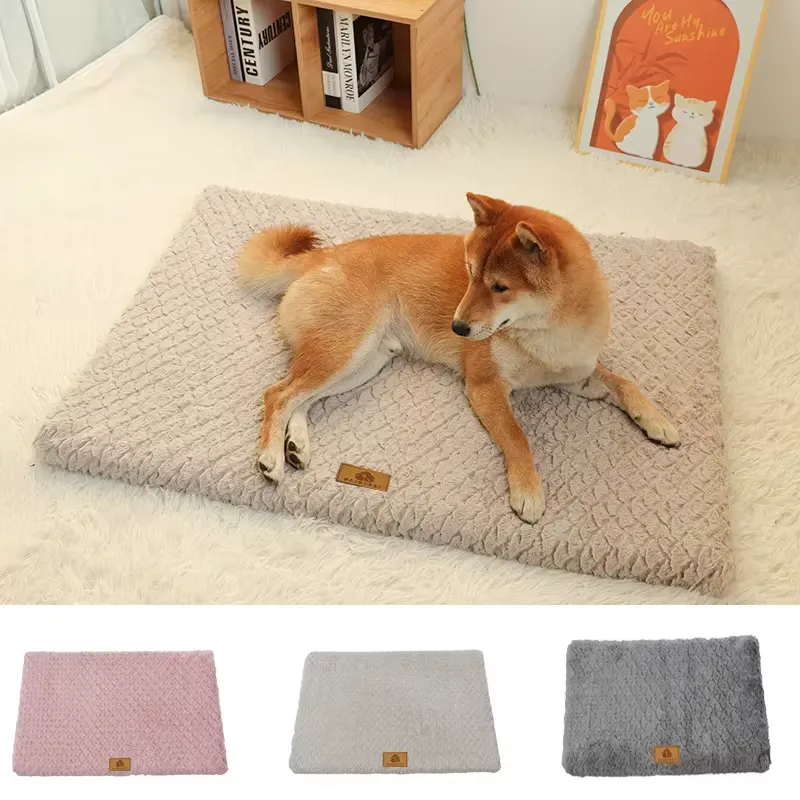 Signs Your Dog May Need an Orthopedic Bed