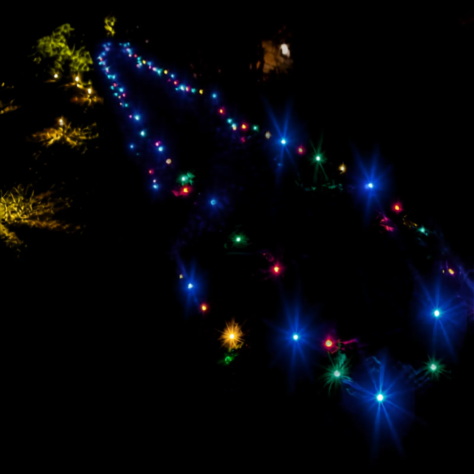 Solar hanging lights photographed among trees at night