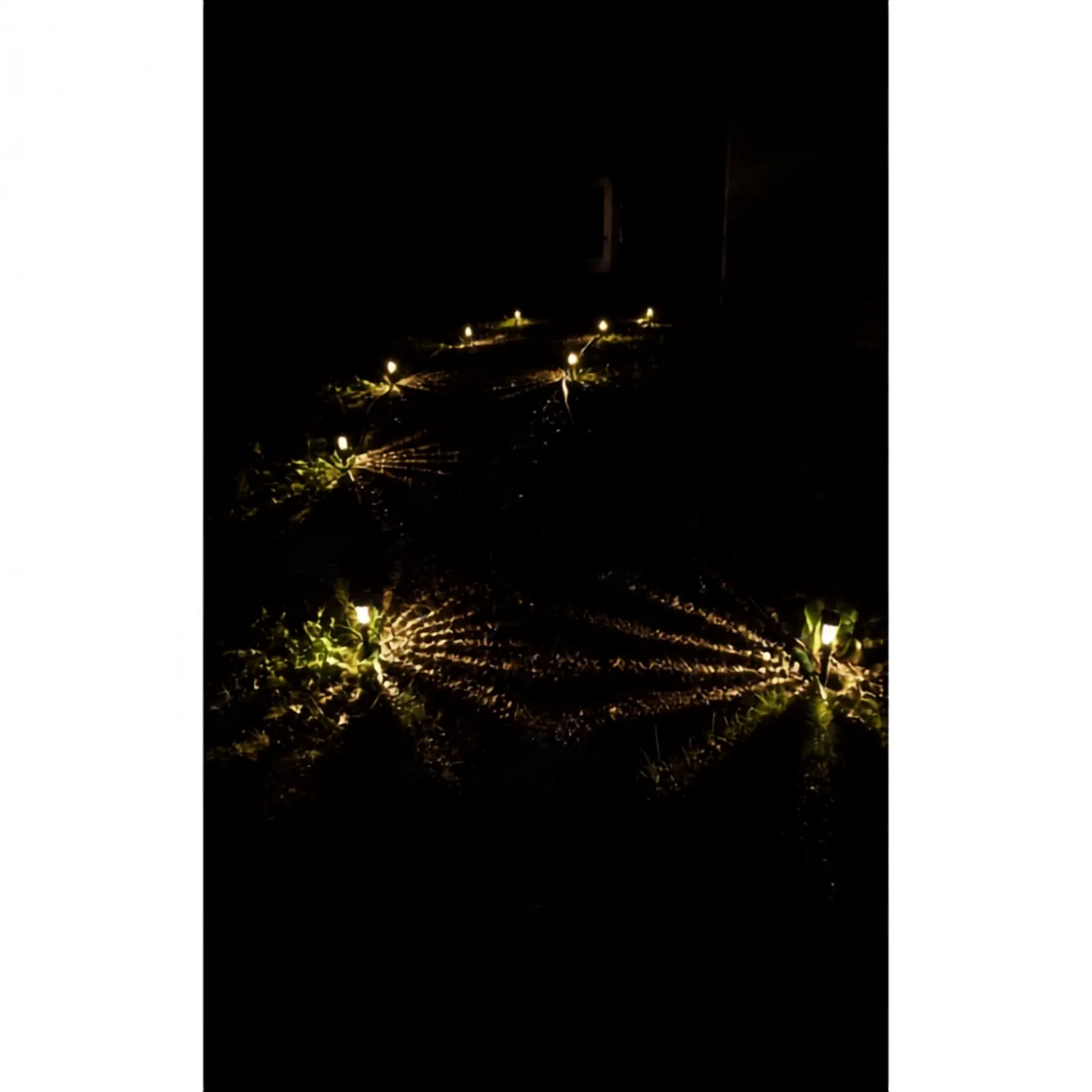 Solar pathway lights tracing a real garden path at night